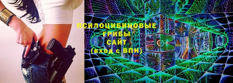 Псилоцибиновые грибы MAGIC MUSHROOMS Белокуриха